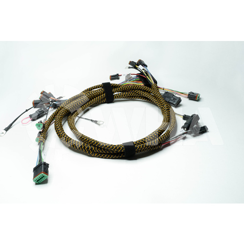 Wiring Harness (Cab - Front)