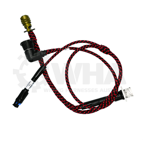 Wiring Harness (Fuel Filter)